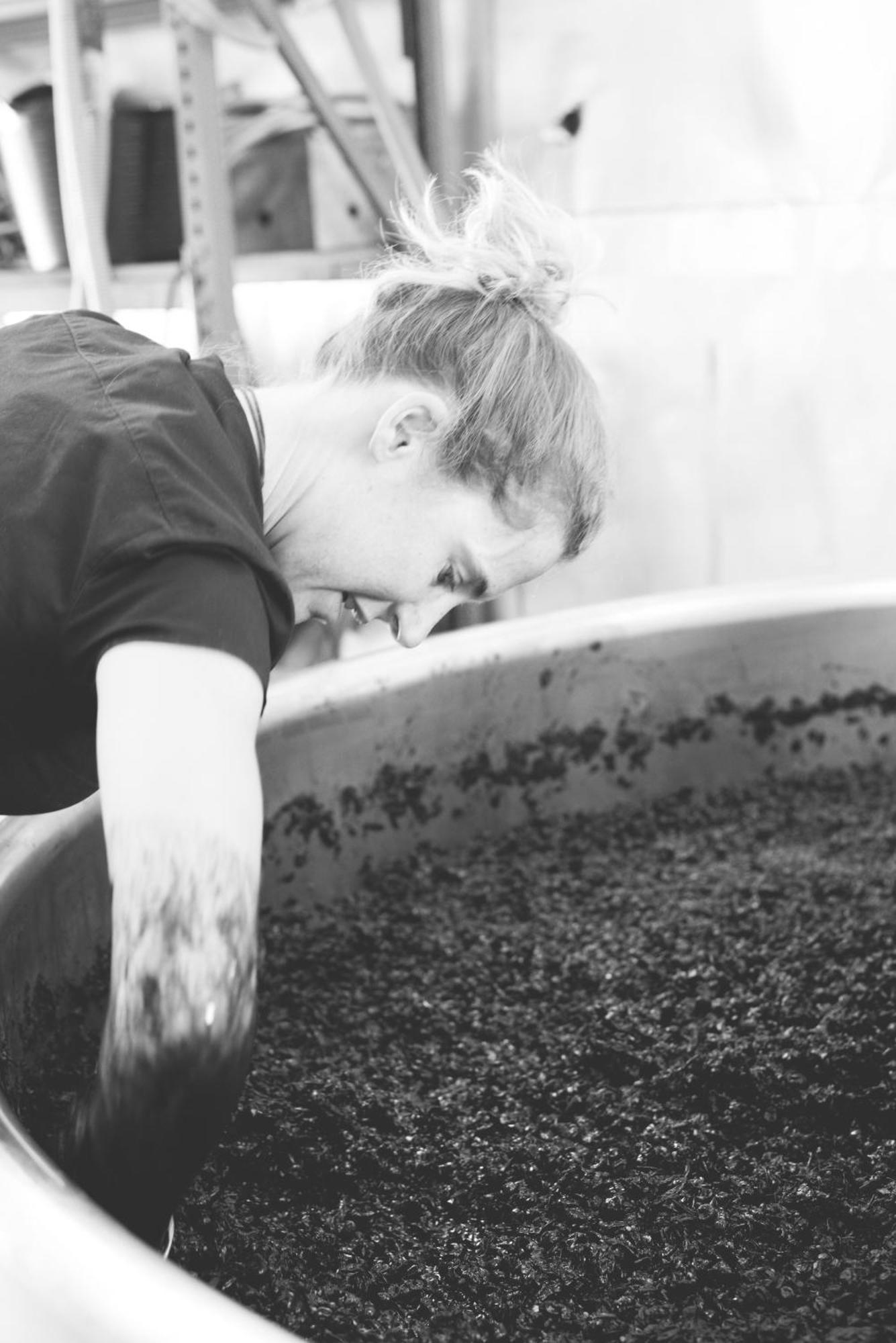 Hotel Tranquil Vale Vineyard Luskintyre Zewnętrze zdjęcie