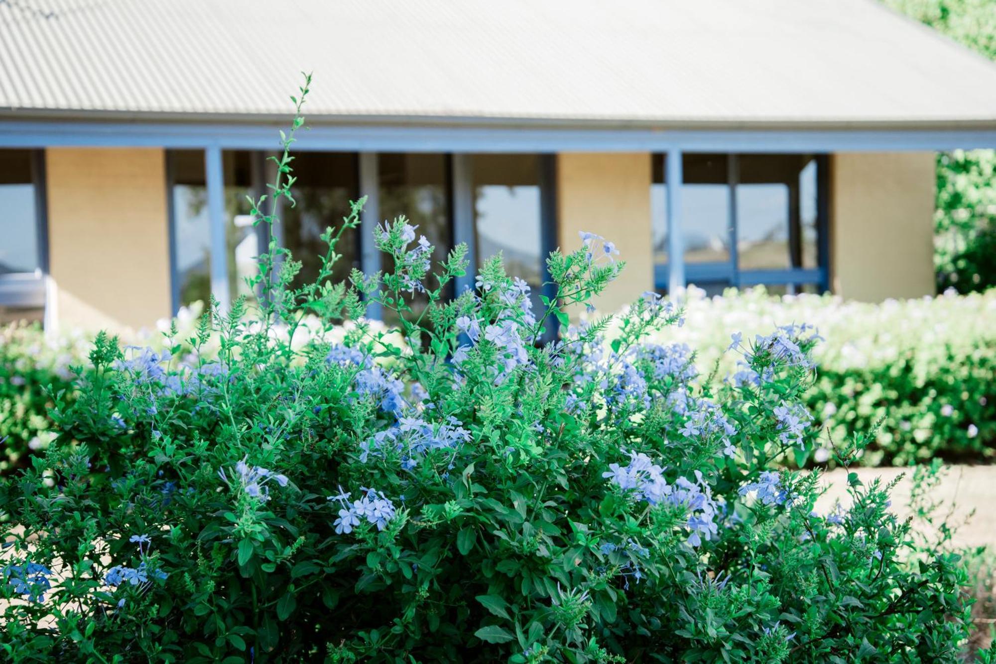 Hotel Tranquil Vale Vineyard Luskintyre Zewnętrze zdjęcie