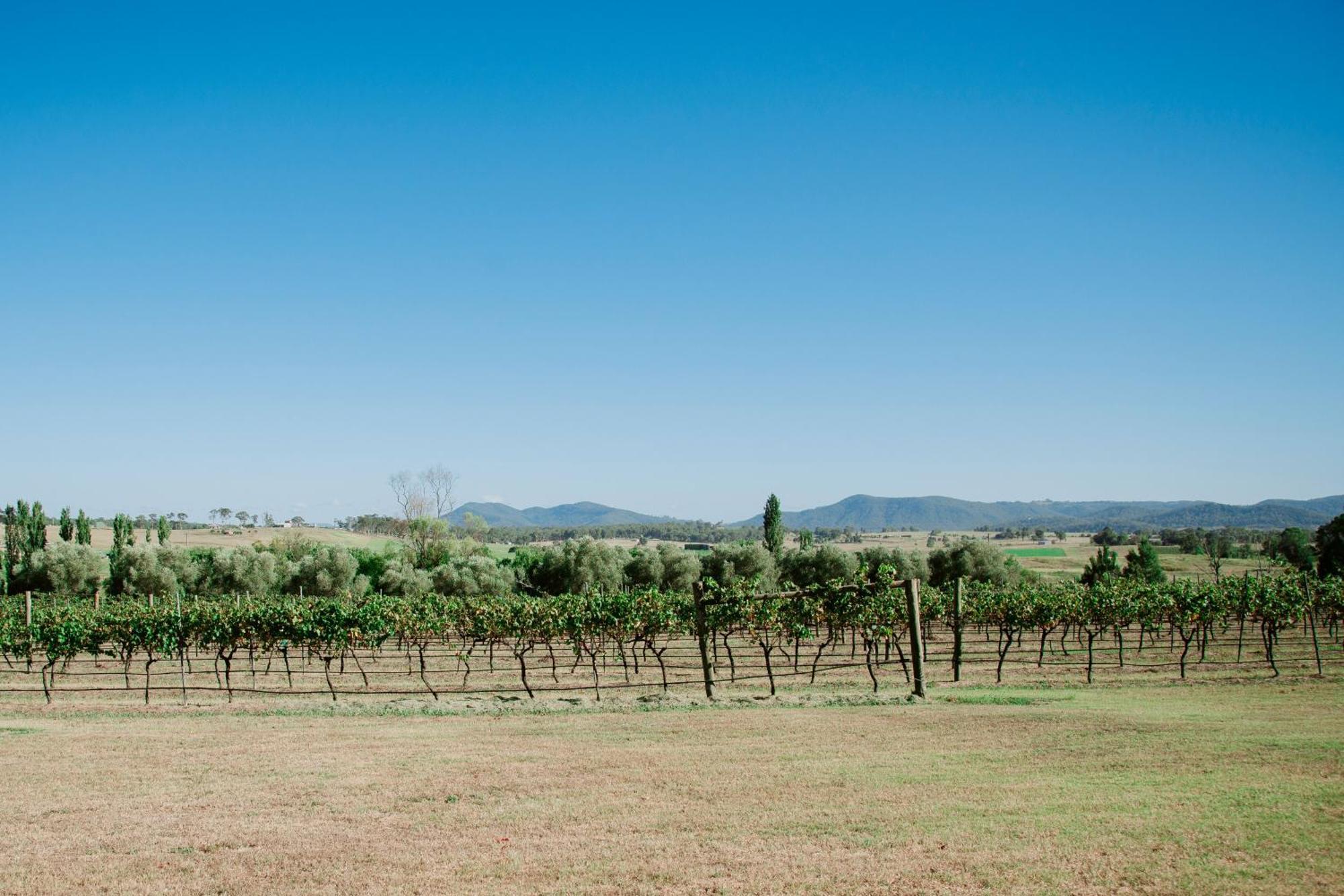Hotel Tranquil Vale Vineyard Luskintyre Zewnętrze zdjęcie