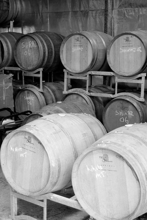 Hotel Tranquil Vale Vineyard Luskintyre Zewnętrze zdjęcie