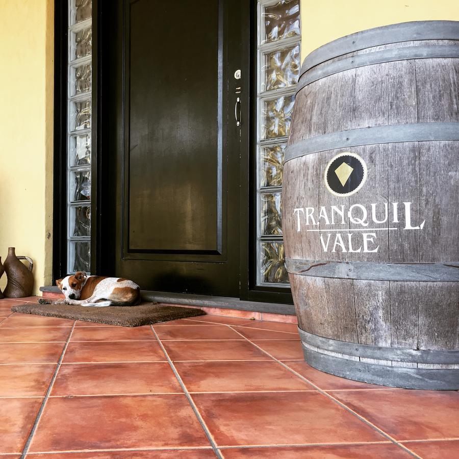 Hotel Tranquil Vale Vineyard Luskintyre Zewnętrze zdjęcie