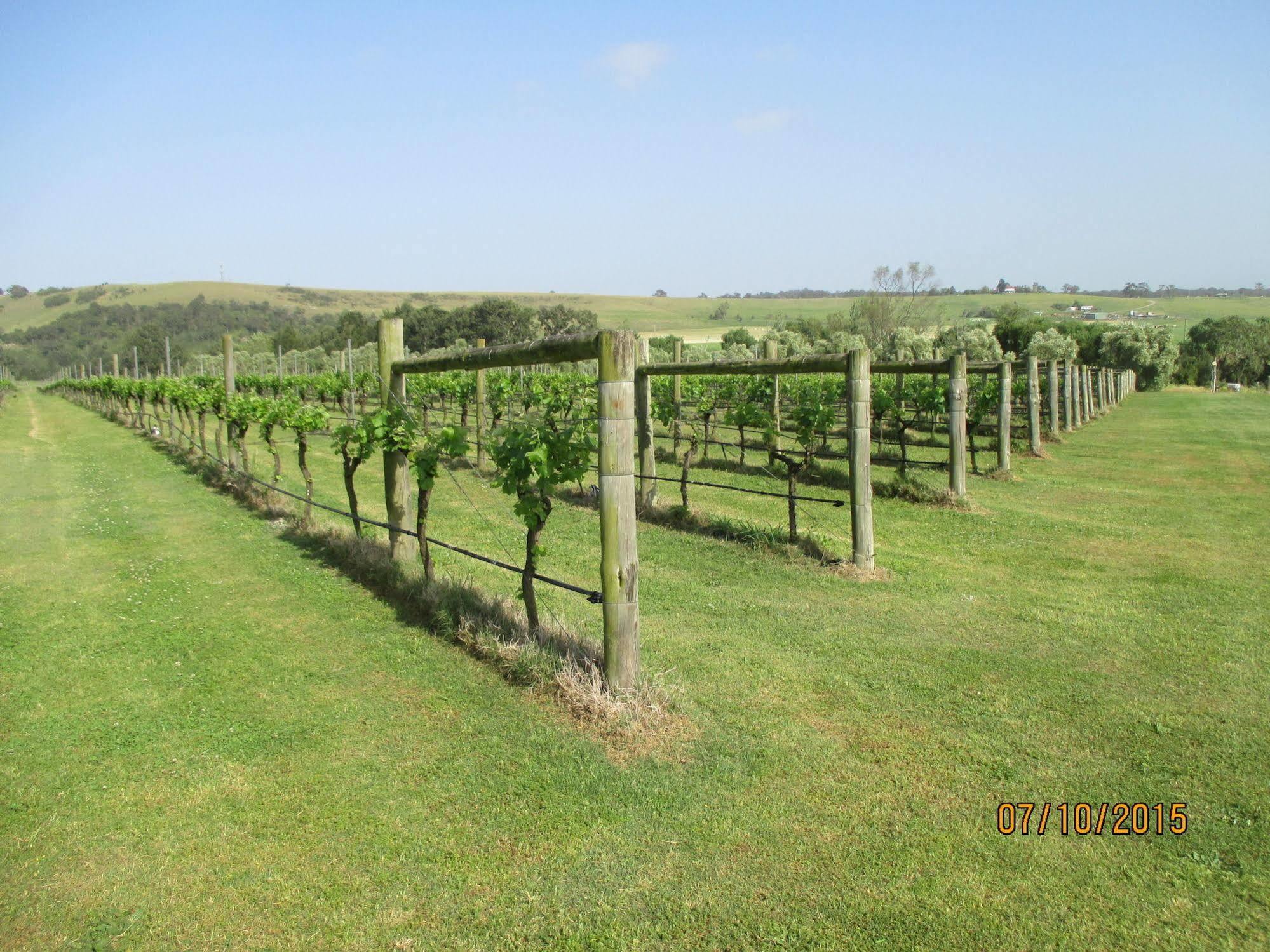 Hotel Tranquil Vale Vineyard Luskintyre Zewnętrze zdjęcie